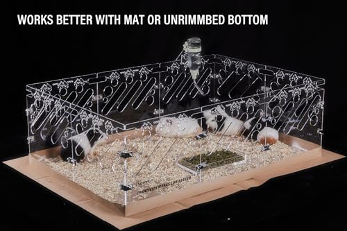 NBTORCH Fundo descartável de gaiola de 0,9 x 0,6 m (suprimento de 1 mês) - Papel Kraft descartável à