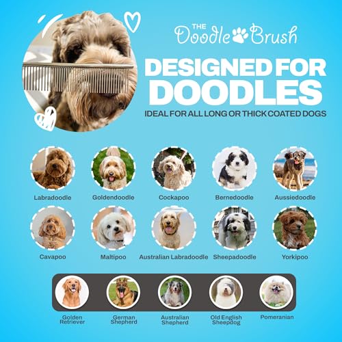 The Doodle Brush - Hundekamm, Haustier Kamm für Goldendoodles, Labradoodles & Hunde mit mittlerem & langem Haar, hundekamm pudel, Metallkamm, metallkamm hund, hundekamm langhaar, Metall Fellpflegekamm