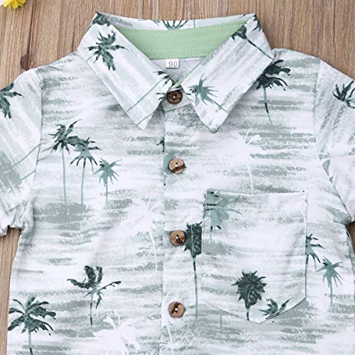 Image of CIYCUIT Toddler Baby Boys Shorts Set Short Sleeve Button Down Shirt + Shorts Pants 2 Pieces Summer Print Clothes Outfits