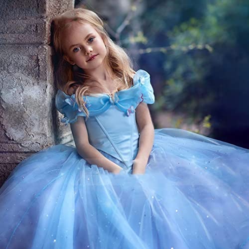 Girls Cinderella Princess Pageant Ball Gowns Kids Tulle Flower Girls Dresses3