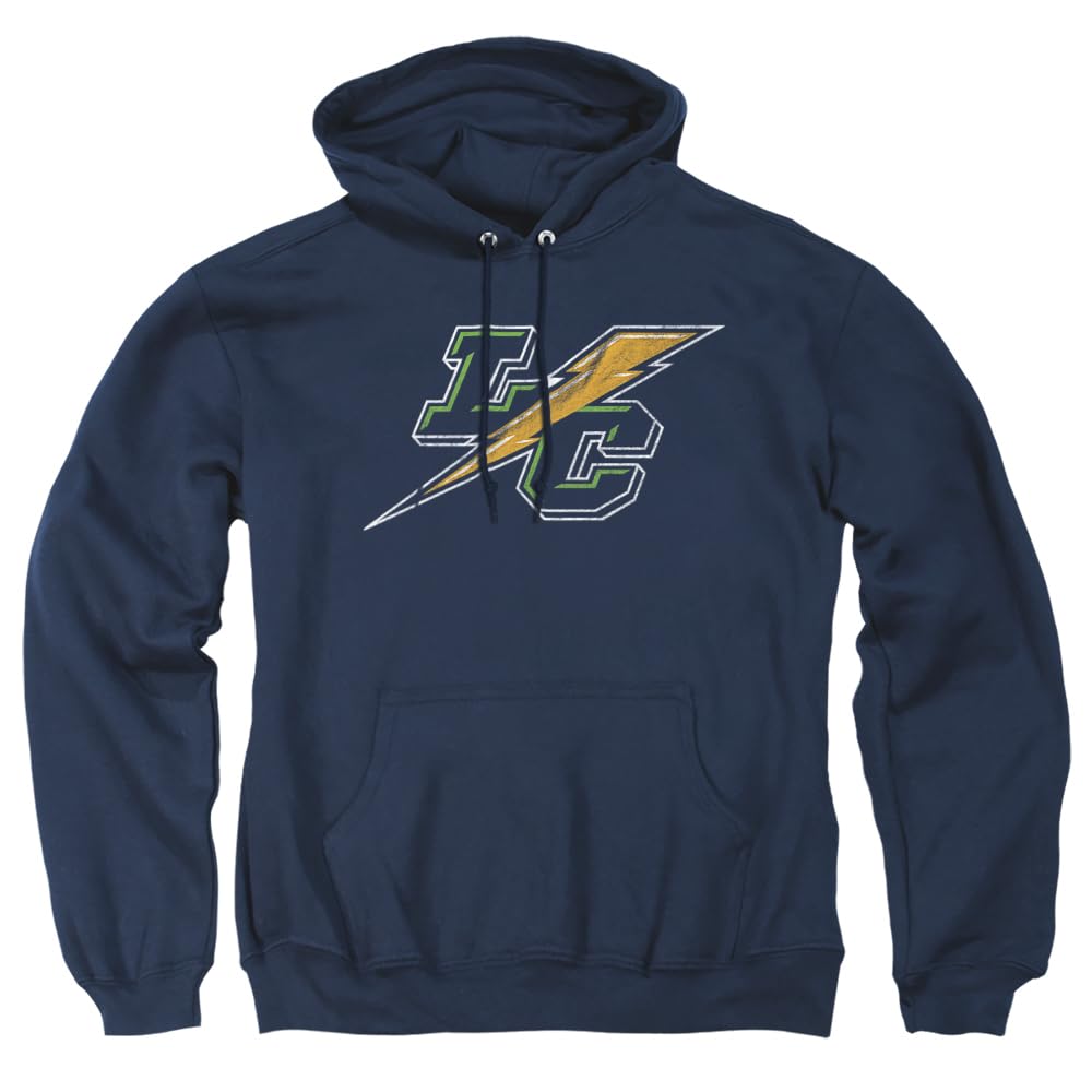 LOGOVISION Official Collegiate Distressed Primary Logo Adult Pullover Hoodie Collection — view 165