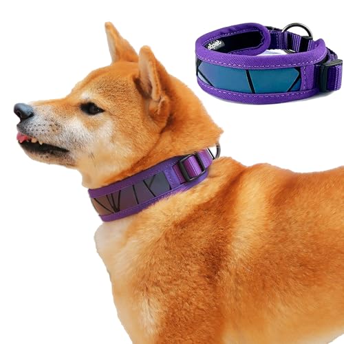 AIBPET   _炩 t@bV y ^ P ʋC ^ p Pp h~ ˍޗ ^ e͐ ߉\ [h  n[lX ybgpi ȒP vȍ (pueple, S)