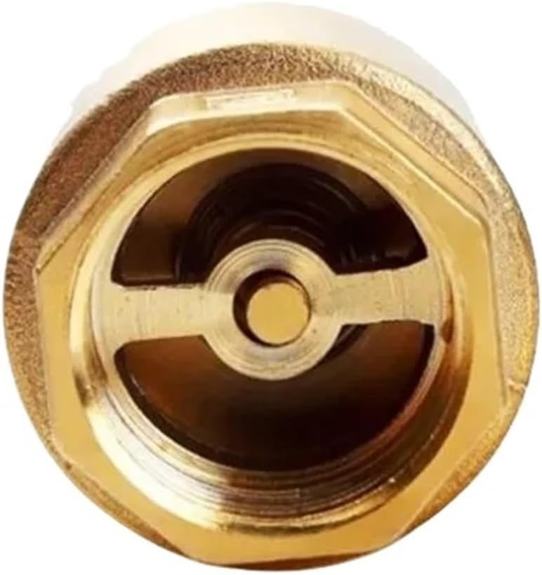1pcs DN15 DN20 DN25 DN32 DN40 DN50 Brass Thread In-Line Spring Check Valve(DN15)