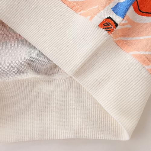 Boys Sweatshirts Casual Sweatshirts Cotton Sweatshirts Long Sleeve T-shirts Crew Neck Cartoon Tops for Boys-2884