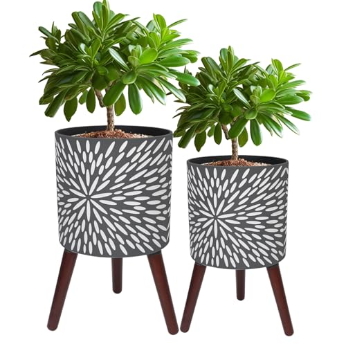 Opnons 10 & 12 Inch Plant Pot Set with Stand