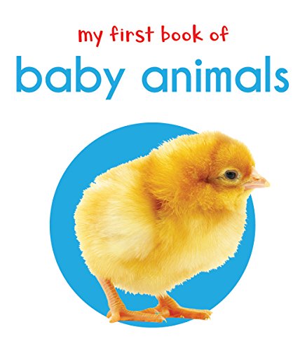 My First Book Of Baby Animals : First Board Book