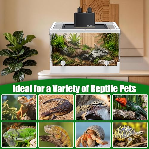 Image of Folding Reptile Travel Terrarium Tank 17 inch x 12 inch x 10 inch | 9 Gallon Portable Transport or Quarantine Enclosure Habitat for Geckos, Lizards, Snakes, Turtles, Spiders