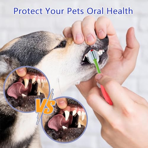 Image of 2PCS Dog Toothbrush 360 Degree Cat Tooth Brush, Dual Head Dogs Toothbrush Pet Teeth Cleaning Supplies for Small Medium Large Dogs Cats