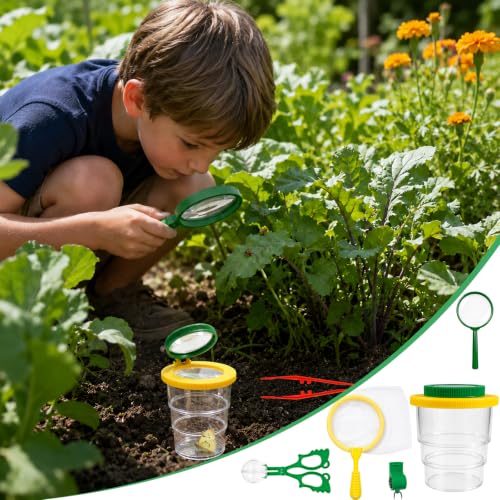 Lot de 4 kits insectes