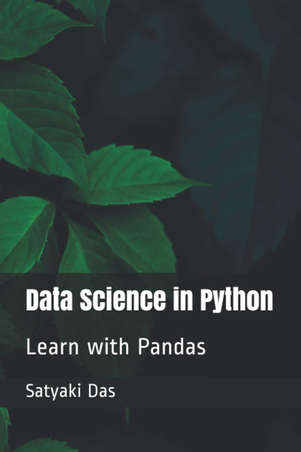 Data Science in Python: Learn with Pandas