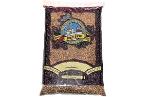 Golden Safflower Bird Seed: The Optimal Diet for Seed-Craving Beaks!