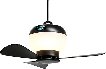 Portable Camping Fan with LED Lantern 300LM, Camping Tent RGB Light, 10000mAh Emergency Hanging Light for Hurricane, Power Outages, Hiking, Water-Resistant, Black