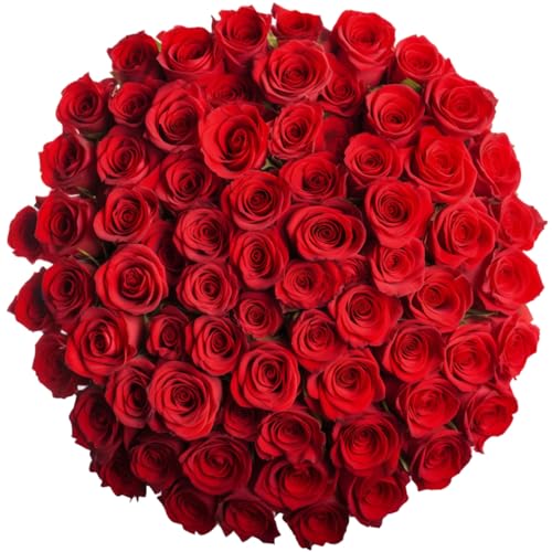 GlobalRose 100 Red Roses Bouquet - Responsibly Sourced Roses Fresh Flowers - Hand-Picked Flowers Fresh Bouquet for Mothers Day Birthday & Special Occasions (4 Bunches of 25 Stems)