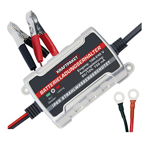 Dino KRAFTPAKET 750mAh-6V/12V Erhaltungsladegerät/Intelligentes und voll-automatisches Ladungserhaltungsgerät/Für Blei-Säure GEL EFB AGM-Batterie/KFZ-Batterie-Ladegerät Auto Motorrad PKW Boot