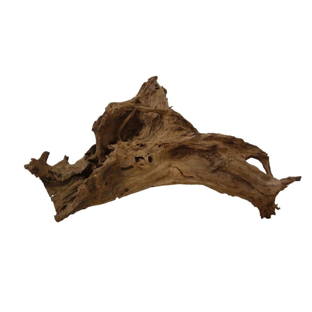 AquaOne Racine de mangrove - Taille XL - 1 pièce - 70-80 cm - Bois naturel - Décoration d'aquarium - Racine en bois véritable