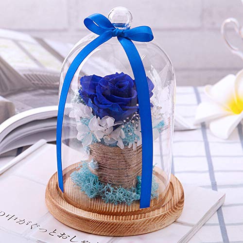 Muium Creativo Regalo de Flor de Rosas preservadas sin Fin en Vidrio Regalo romántico Día de San Valentín Cubierta de Cristal Creativa de 6-7cm Flor eterna del día de San Valentín Rosa (Azul)