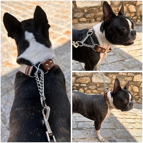 Martingale Zugstopp Halsband für Hunde mit Kette und Leder. Zughalsband für Kleine. M. Beige & Cognac