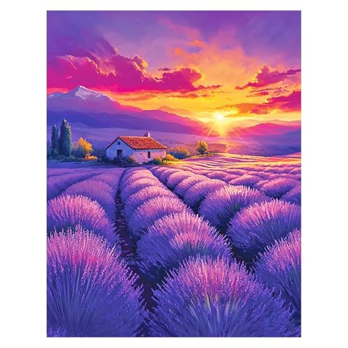 Pintura de diamante para adultos con diseño de paisajes de lavanda y puesta de sol DIY 1
