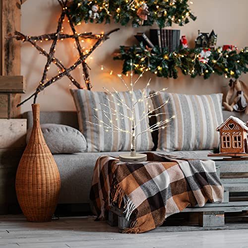 Lighted-Birch-Tree-with-80-Warm-White-LED-BatteryUSB-Operated-Led-Christmas-Tabletop-Tree-Money-Tree-for-Christmas-Decorations-80-LEDs-Grain-Base
