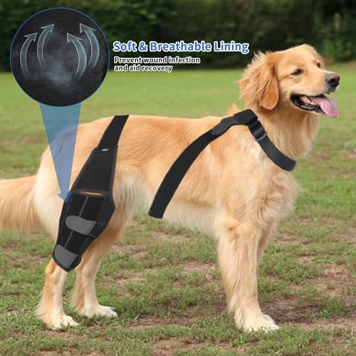 Image of Dog Knee Brace for Torn Acl Hind Leg, Adjustable Dog Back Leg Acl Knee Brace for Cross Ligament Arthritis Relief Joint Stability Injury Recovery