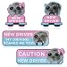 CNhoqc New Student Driver Magnet - 4 Pcs Shivering Hamster Please Be Patient New Student Driver Automotive Car Magnet Reflective Safety Warning Attention Sign Reusable Removable Novice Bumper Sticker