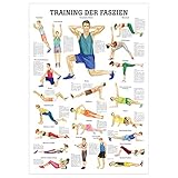 Mini-Poster "Training der Faszien", LxB 34x24 cm
