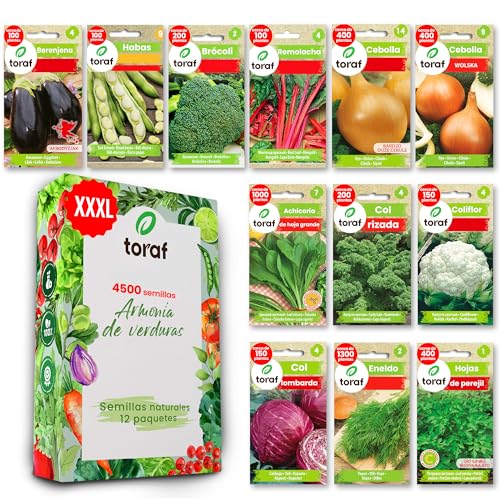 LW TORAF Set de Semillas Huerto XXL 12 Variedades Premium de Hortalizas, 4500 Semillas, plantas de Jardín, Balcón, Cocina, Berenjena, Habas, Brócoli, Coliflor, Repollo, Hinojo, Cebolla