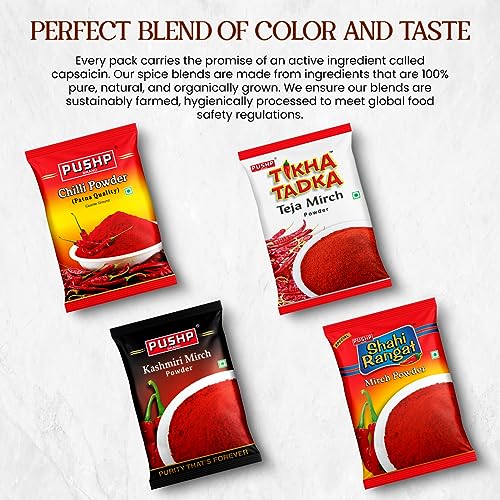 Image of Pushp Brand Fine Red Chili Powder Tikha Tadka (100g) (Pack of 1)