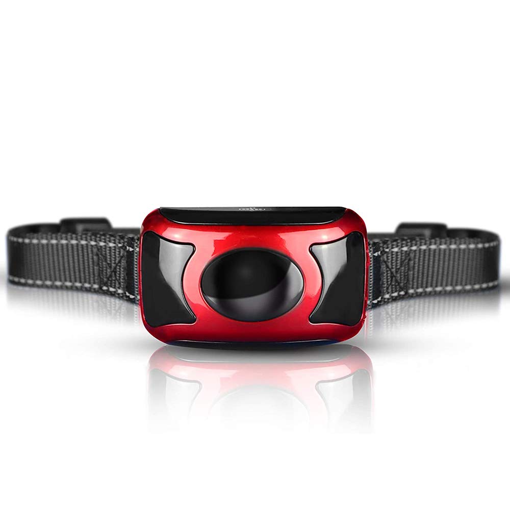 AccLoo 2in1 Anti-Bark Dog Collar | Stop Barking Device for Small Medium Large Dogs, NO SHOCK Safely and Humane by Sound & Vibration, Rechargeable No Bark Dog Training Collar, Adjustable Belt 7-55kg