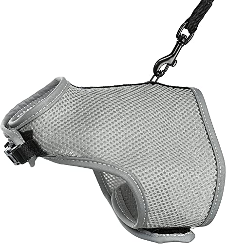 Trixie-Soft-Harness-with-Leash-for-Cats-24-42cm-120M