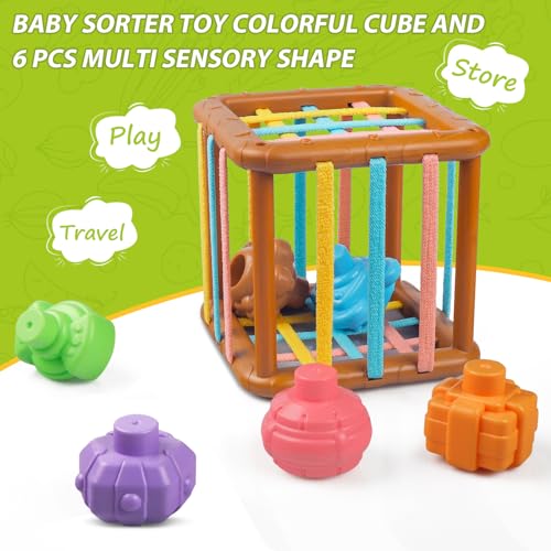 Tacopet Montessori Giocattoli per Bambini 1-3