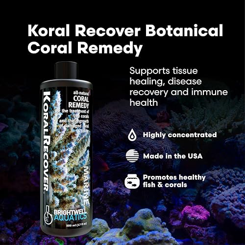 Image of Brightwell Aquatics Koral Recover - Botanical Coral Remedy for SPS, LPS & Soft Corals - Supports Tissue Healing, Disease Recovery & Immune Health - Safe for Reef Aquariums, 125 ml
