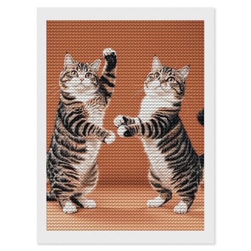 Kit art diamant 5D débutant chat broderie strass rond loisir créatif