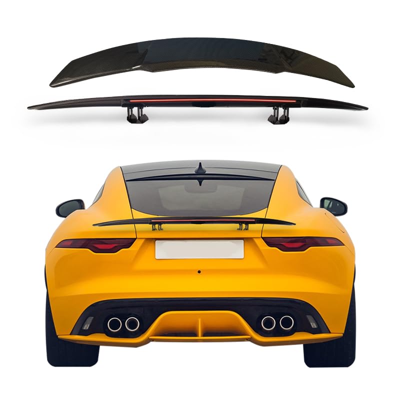 Amazon | 自動モーター電動リフト上下車のリアウイングリップ