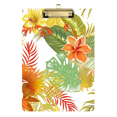 Mт̉ t IW O[ Nbv{[h w Nbv{[h qp NjJ 12C` x 9C` ANNbv{[h p[\iCY ŌwZ Ki Vo[