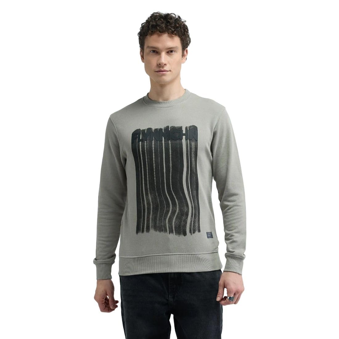 flying machine Men's Regular Fit Sweatshirt| Printed-picture-18