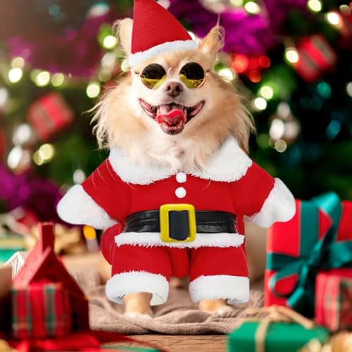 Kleidung für Haustiere Weihnachtsmann, Haustier Weihnachtskostüm, Katze Hund Weihnachtskostüm, Weihnachten Haustier Kleidung, Für Neujahr Christmas Party Cute Cats and Dogs Kostüm(L)