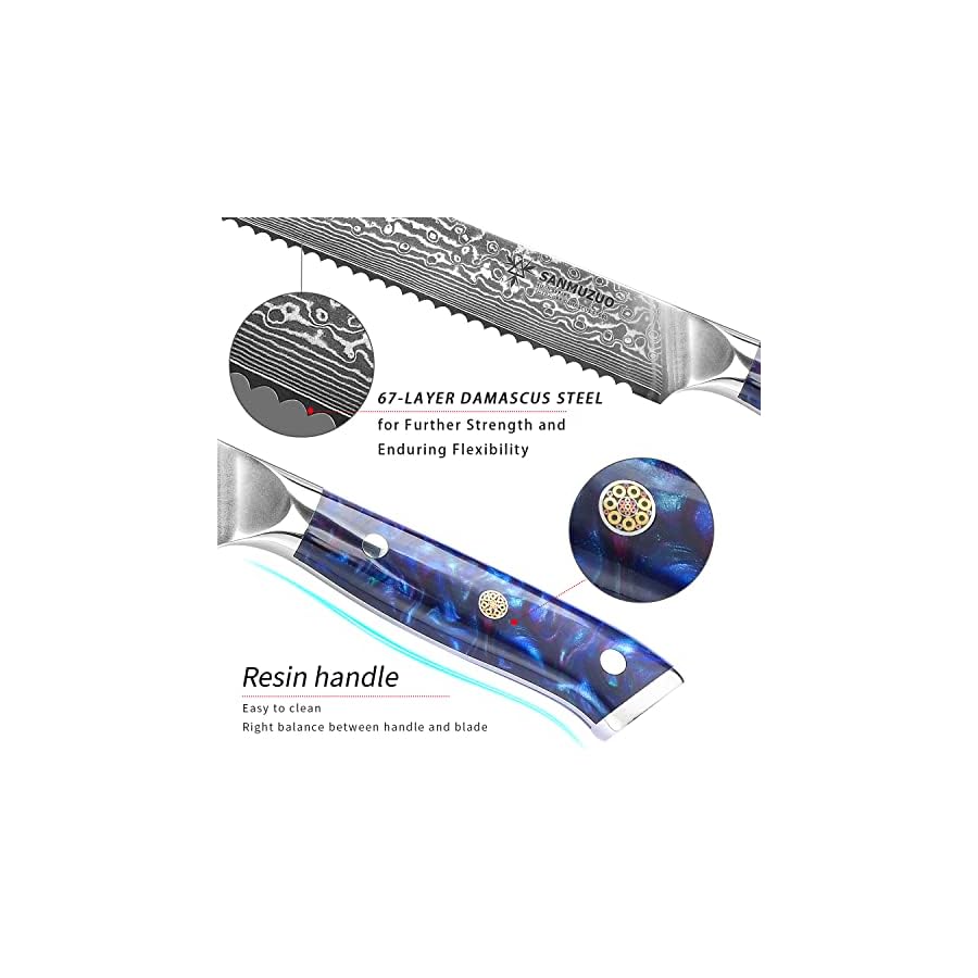 Chef Cooking Knives Set- Kitchen Knife Set of 5 Piece - Ultra-Sharp VG10 Damascus Steel & Resin Handle - Xuan Series (Sapphire Blue)