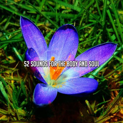 Amazon.co.jp 52 Sounds For The Body And Soul Nu Meditation Music