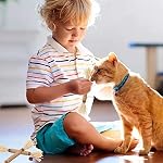 Cat Toys 21Pack Silvervine Chew Stick Kitten Treat Catnip Toy Kitty Natural Stuff Catnip Matatabi for Cleaning Teeth Indoor Dental Snack Interactive - Image 2