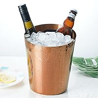 ABHOME Seau à Glace En Verre Avec Poignée En Acier Inoxydable Et Pince Pour Bar, Fête, Cocktail, Barbecue Dans Le Jardin, Pique-nique, Camping – Seau à Vin/champagne En Verre, Transparent (type 1