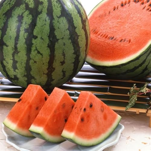 【富良野すいか 秀品】すいか 北海道産スイカ 西瓜 フルーツ お土産 自宅用 北海道産 富良野すいか 秀品 L 2Lサイズ 2玉入 ５L 6L 贈答用・産地直送・高糖度 (富良野すいか 秀品 L 2玉入)のサムネイル