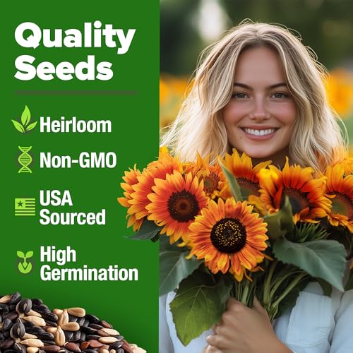 Image of HOME GROWN Autumn Beauty Sunflower Seeds to Plant 40 Heirloom Non-GMO Sunflower Seeds for Planting Blooms for Pollinator Support, and Ornamental Flower Garden (Helianthus annuus)