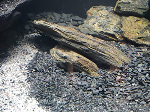 Natural Aquarium Stones Brown/Grey Slate - Size 1 to 3 Inch. PH Neutral. Perfect Rocks for Aquascaping Planted Aquariums, Cichlid and Nano Tanks, Reptile and Amphibian Enclosures (5 lbs) (1-3 inch) - Thumbnail 2