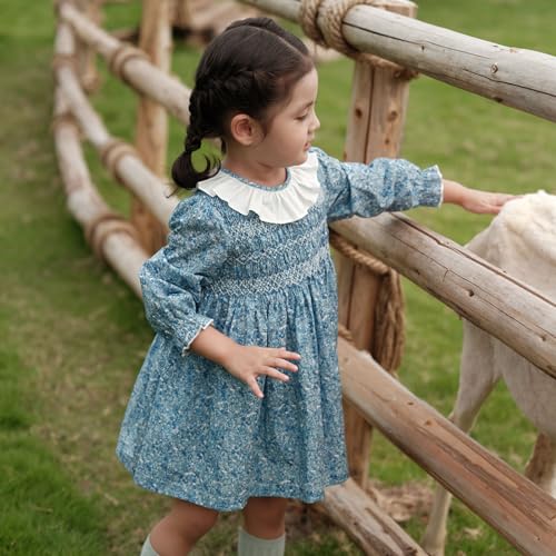 Twoflower Girls Vintage Autumn Long Sleeve Smocking Clothing Kids Toddler Hand Embroidery Floral Fully Smocked Dresses3