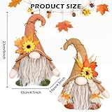 Zoom IMG-1 porfoyo 2 pezzi gnomi autunnali