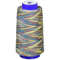 Amazon | FUJIX フジックス キングカラーズスパンミシン糸 段染め