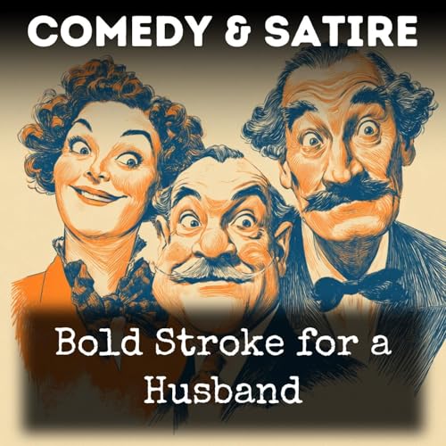 Bold Stroke for a Husband cover art
