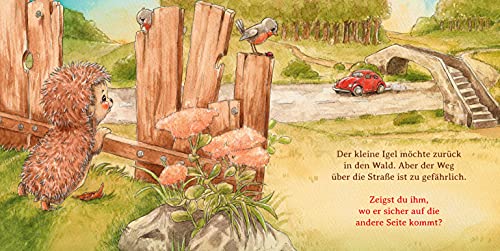 Schlaf schön, kleiner Igel (Mini-Ausgabe): Eine süße Abenteuergeschichte für die Allerkleinsten - zum Pusten, Drücken, Streicheln und Kitzeln (Mitmachpappen, Band 2)