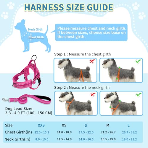 SlowTon No Pull Small Dog Harness and Leash Set, Puppy Soft Vest Harness Neck & Chest Adjustable, Reflective Lightweight Harness & Anti-Twist Pet Lead Combo for Small Medium Dogs (Fuchsia, XXS) - Image 6
